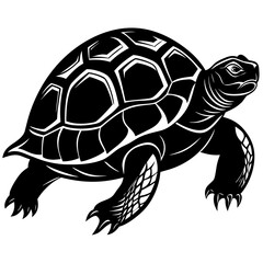 Stylized black silhouette of a sea turtle swimming with detailed shell patterns on a white background