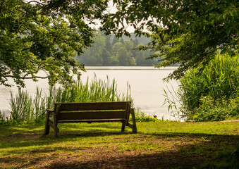 A tranquil waterside scene in Ellesmere, Shropshire, featuring a wooden bench overlooking a serene lake giving time for contemplation