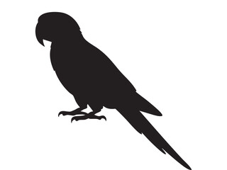 Obraz premium Black silhouette of a macaw parrot perched, isolated on white background. concept of exotic bird, wildlife, tropical fauna, icon, logo, design element, aviary art