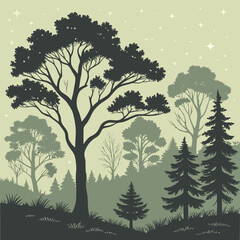 Dense forest with silhouettes of trees.