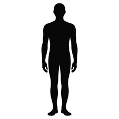 Fototapeta premium Full body human male standing silhouette facing forward