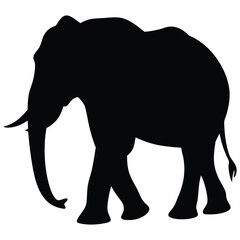 Fototapeta premium Majestic elephant walking silhouette