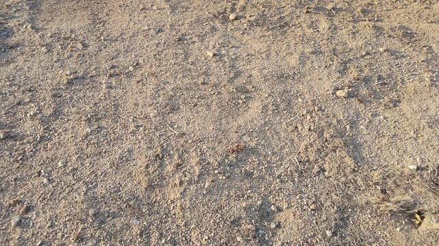 Close up view of the ground soil of the Mojave Desert in California