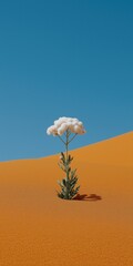 Lone white flower blooming on orange sand dune against clear blue sky