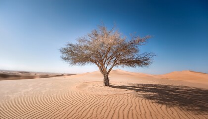 Fototapeta premium a striking silver tree stands alone in a vast desert landscape under a clear blue sky the scene radiates tranquility with its pastel hues and sandy dunes in the background