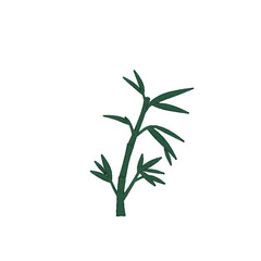 Elegant Bamboo, Botanical Design