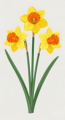 Obraz premium A stunning depiction of three daffodil flowers, with their yellow petals and orange cups, bringing the vibrant beauty of spring to life. 