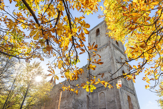 The Katarinka, ruins of a Franciscan monastery and church in Slovakia, Europe. Autumnal view of a stone tower through colorful fall foliage against a bright blue sky backdrop.