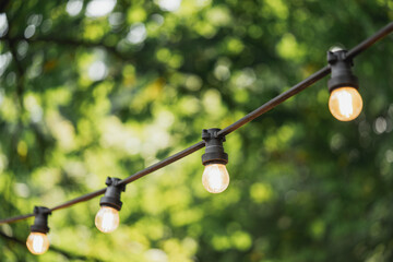Glowing vintage style string lights hanging in garden, with soft focus on green trees and natural...