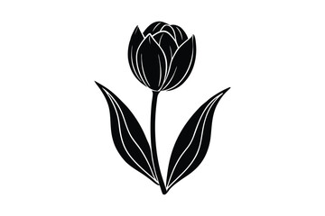 Black and White Catfish Illustration, High-Quality Vector Art