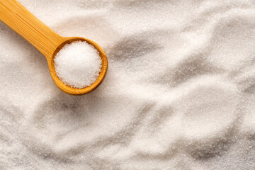 Saccharum officinarum - Fine crystals of refined white sugar on a wooden spoon