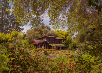 japanese garden in autumn