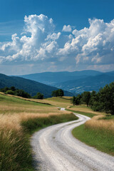 Fototapeta premium winding road disappears into endless field under ultrabright sun inviting exploration