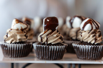 Delicious Chocolate Marshmellow Cupcakes with Chocolate Sauce