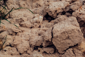 dry soil in the ground
