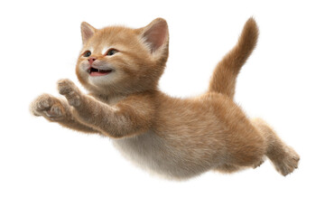 Free photo of cat in motion pose transparent background