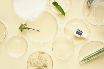 Petri dishes with herbs, sample and pipette on yellow background
