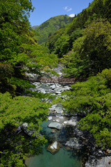 祖谷のかずら橋、徳島県三好市西祖谷山村