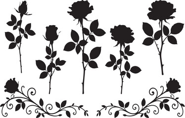 Fototapeta premium Black Silhouette Rose Flowers and Decorative Swirl Border Elements floral botanical