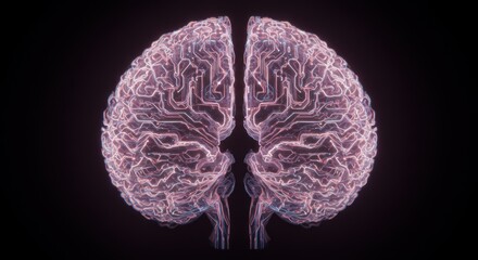 Glowing Circuit Brain: Digital Neural Network on Black Background