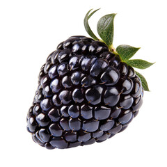 Deeply pigmented, dark berry with bumpy texture.  Fresh, whole fruit, isolated against black background.  Small green leaves at top