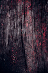 wood texture background