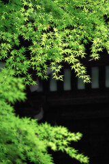 御岩神社
