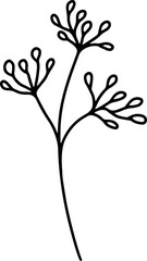 Minimalist line art florals