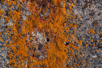 rusty metal surface