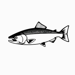 Chinook Salmon Animal Icon