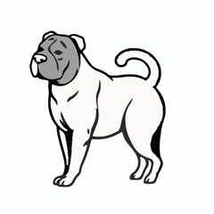 Chinese Shar-Pei Animal Icon