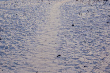 footprints in snow
