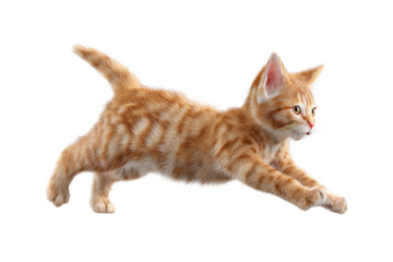 Free photo of cat in motion pose transparent background