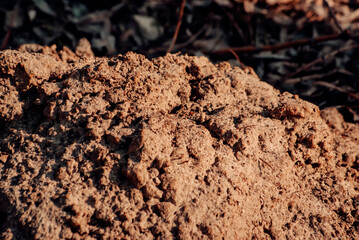 brown stone background