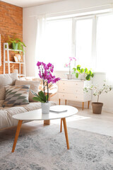 Orchid flower with magazine on table in cozy living room