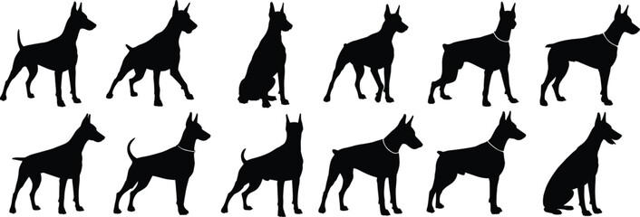 Doberman Pinscher silhouette set, dog breed poses, standing sitting stances, pointed ears, muscular build, black vector graphic, pet animal art