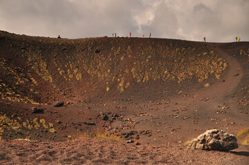 Silvestri © PrzemyslawKedzierski