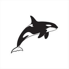 Naklejka premium Black and white killer whale breaching ocean mammal orca marine mammal