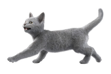 Free photo of cat in motion pose transparent background