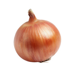 Fototapeta premium Single, whole onion, light orange-brown hues, smooth skin