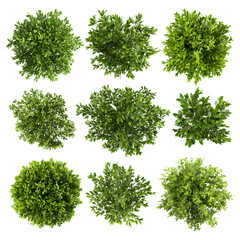 Obraz premium Overhead view of green plant tops