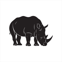 Fototapeta premium Black rhinoceros with two horns grazing on white background animal wildlife