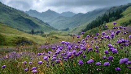 Vibrant Purple Flowers in a Lush Green Valley with Majestic Mountains