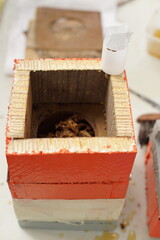 Traditiional beekeeping with native Mayan stingless bees in Guatemala