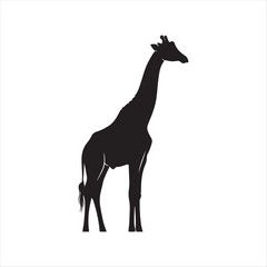 Silhouette of a giraffe standing tall black white