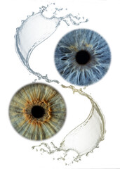 Obraz premium Minimal Dual Iris Design on White Background