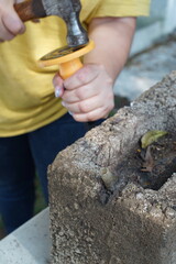 Traditiional beekeeping with native Mayan stingless bees in Guatemala