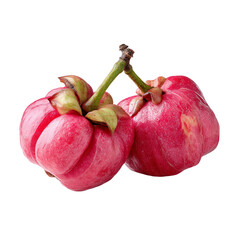 Vibrant Garcinia Fruits: Two fresh, ripe Garcinia fruits exude natural vibrancy. These visually appealing fruits, in a close-up, feature a rich, healthy color, highlighting their freshness.