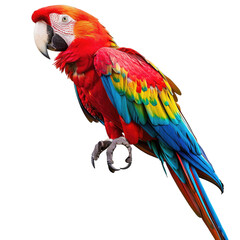 Fototapeta premium Vibrant macaw perched, profile view. Colorful parrot with red, blue, yellow, and green plumage. Sharp focus on the bird's details. Dark background isolates the subject
