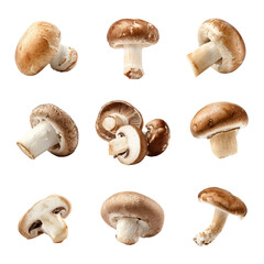 Mushroom Assortment: A collection of diverse, organically cultivated mushrooms displayed against an uncluttered canvas, showcasing their unique forms and textures in a culinary-focused still-life.
